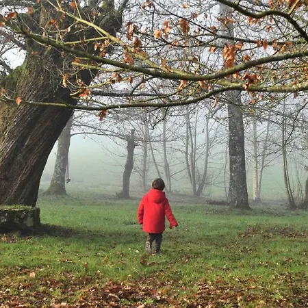 As Casas Ribeira Sacra Ξενοδοχείο *