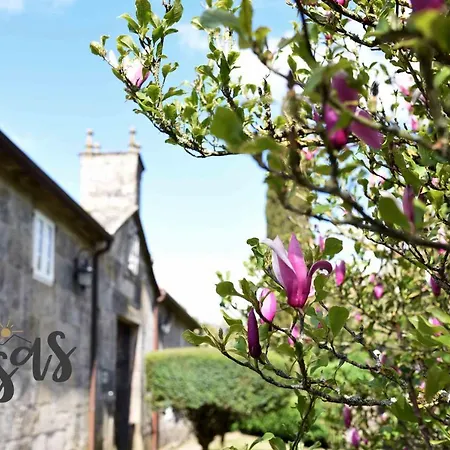 Ξενοδοχείο As Casas Ribeira Sacra Chantada
