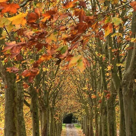 As Casas Ribeira Sacra Ξενοδοχείο *