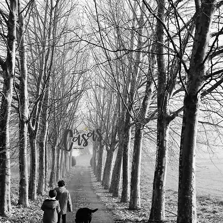 Ξενοδοχείο As Casas Ribeira Sacra Chantada