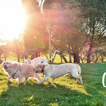 As Casas Ribeira Sacra Ξενοδοχείο Chantada