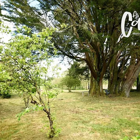 As Casas Ribeira Sacra Ξενοδοχείο *