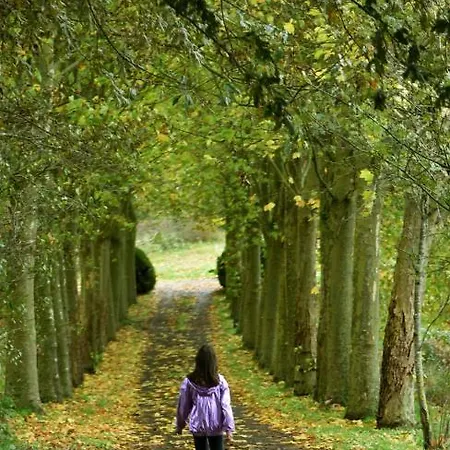 As Casas Ribeira Sacra