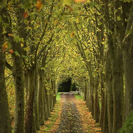 Ξενοδοχείο As Casas Ribeira Sacra