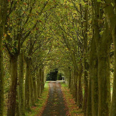As Casas Ribeira Sacra