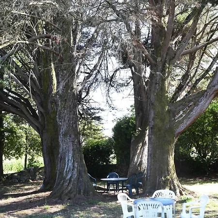 As Casas Ribeira Sacra Ξενοδοχείο Chantada